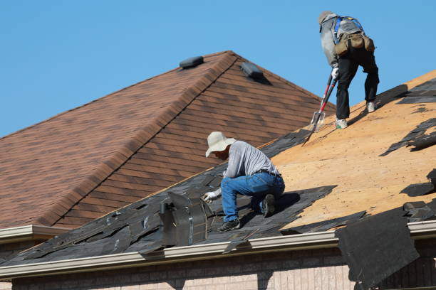 Best Roof Moss and Algae Removal  in Amherst, OH