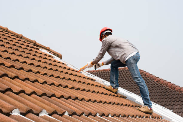 Best Roof Insulation Installation  in Amherst, OH